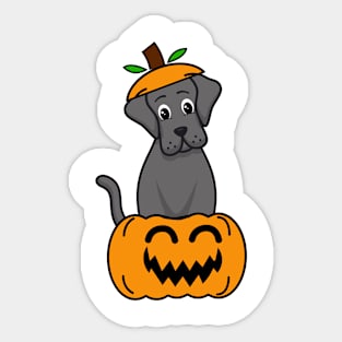 Cute Big Dog is in a pumpkin Sticker